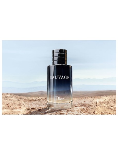 Sauvage Dior Eau de Toilette - 100ml