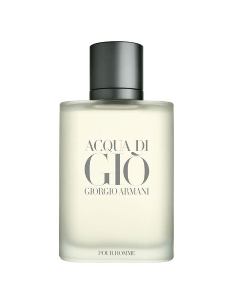 Acqua di Giò Pour Homme Giorgio Armani Eau de Toilette - Perfume Masculino 100ml